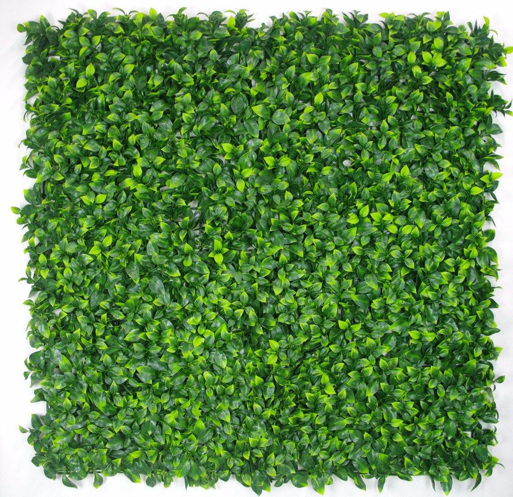 Jasmine Leaf Screens / Panels UV Stabilised 1m X 1m - Housethings 