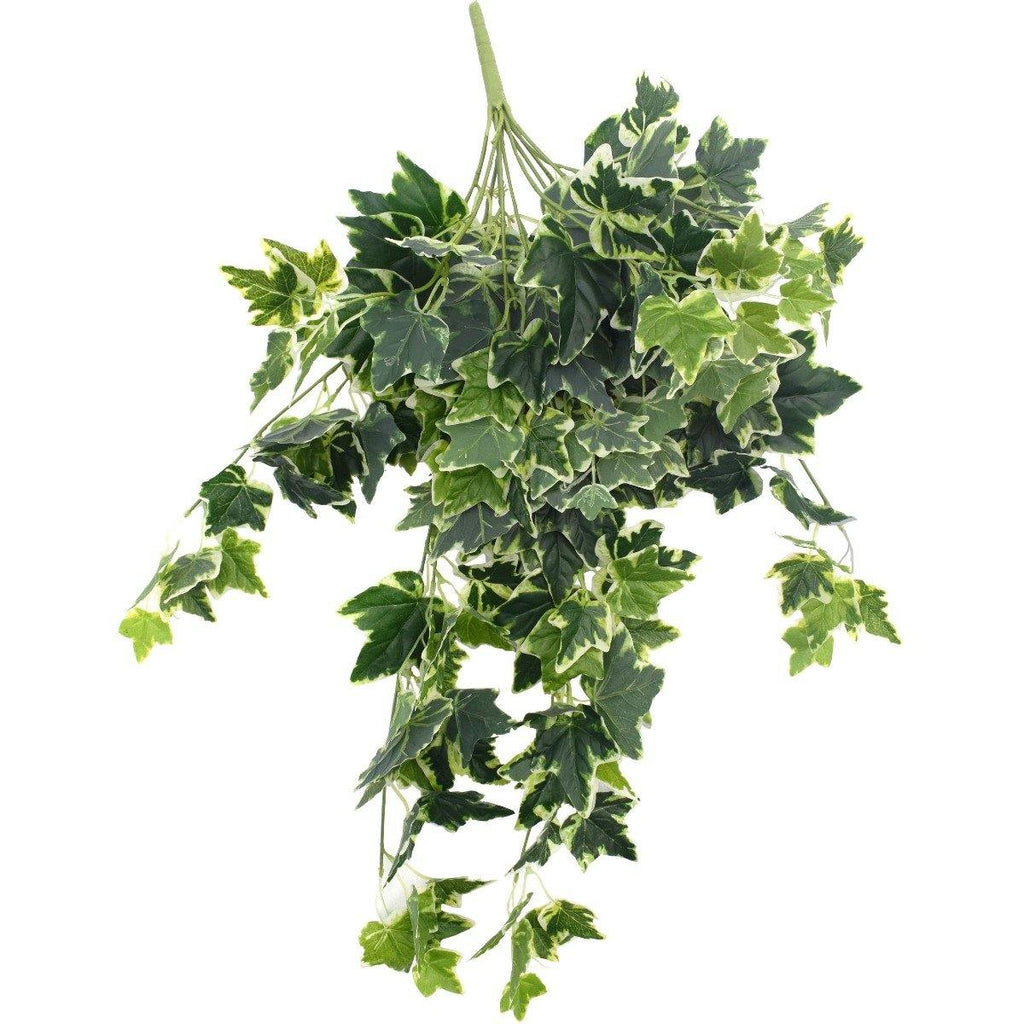 Mixed Green and White Tipped Ivy Bush 100cm - Housethings 