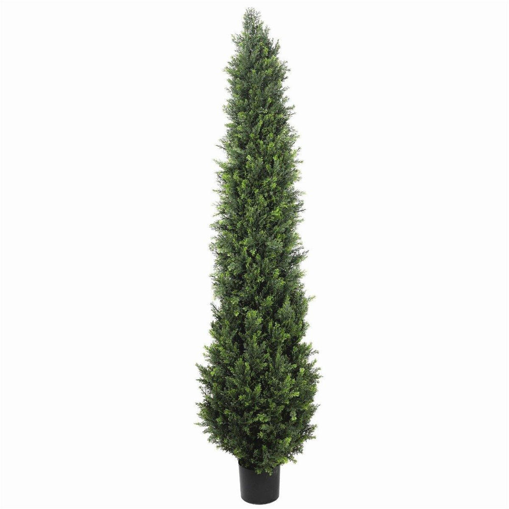 UV Resistant Cypress Pine Tree 1.8m - Housethings 