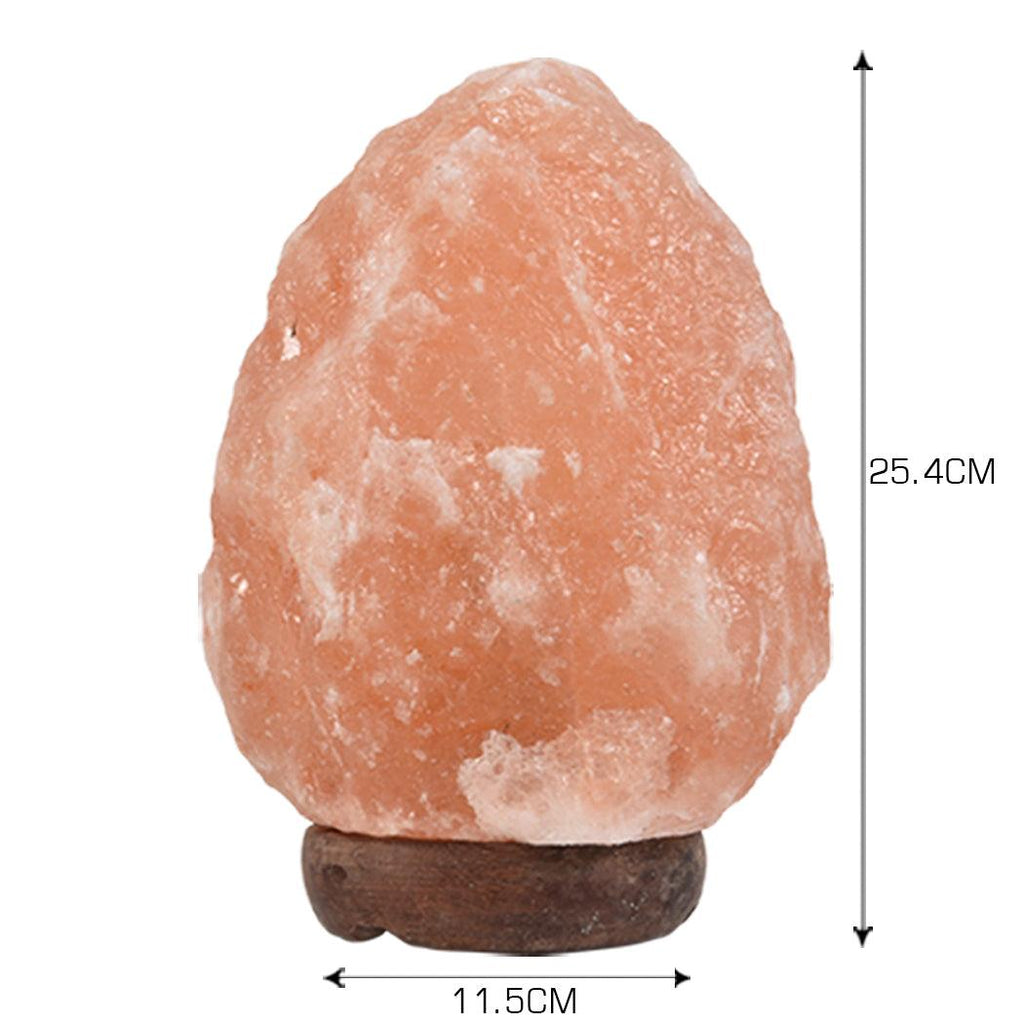 2 Pcs Himalayan Salt Lamp Rock Crystal Dimmer Switch - House Things 