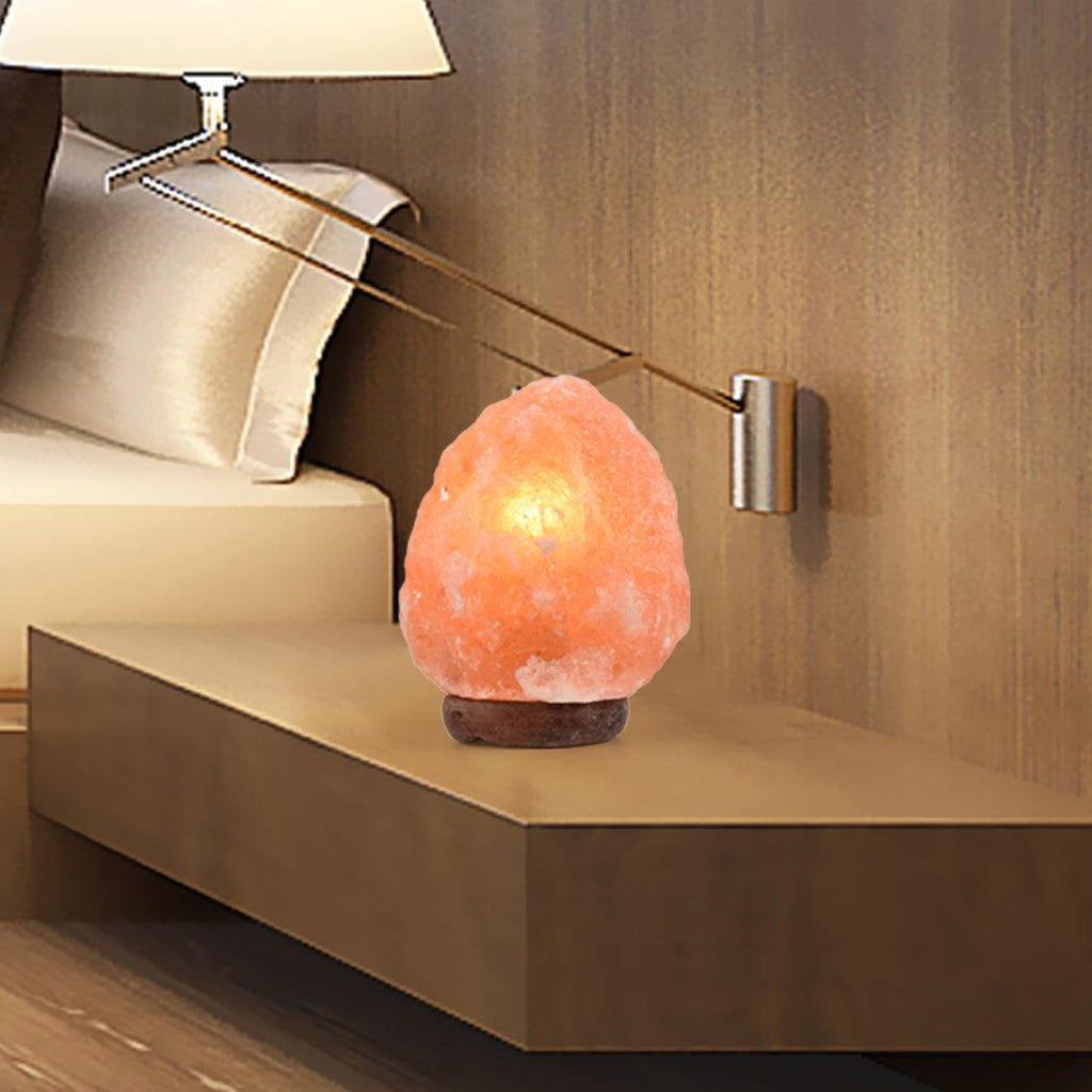2 Pcs Himalayan Salt Lamp Rock Crystal Dimmer Switch - House Things 