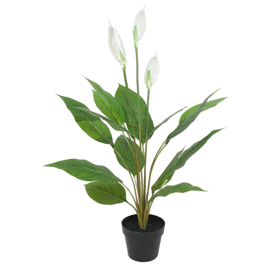 Artificial Flowering White Peace Lily / Calla Lily 95cm - Housethings 