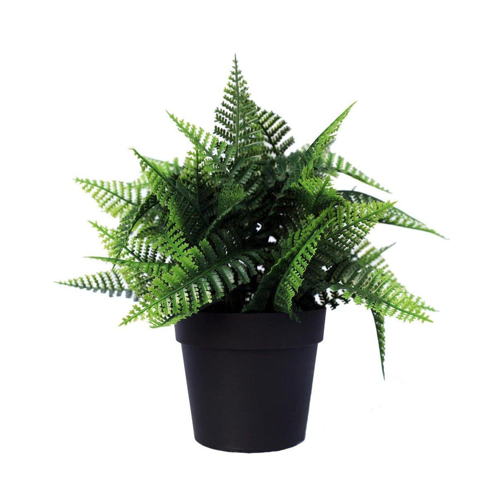 Small Potted Artificial Persa Boston Fern Plant UV Resistant 20cm - House Things Home & Garden > Artificial Plants