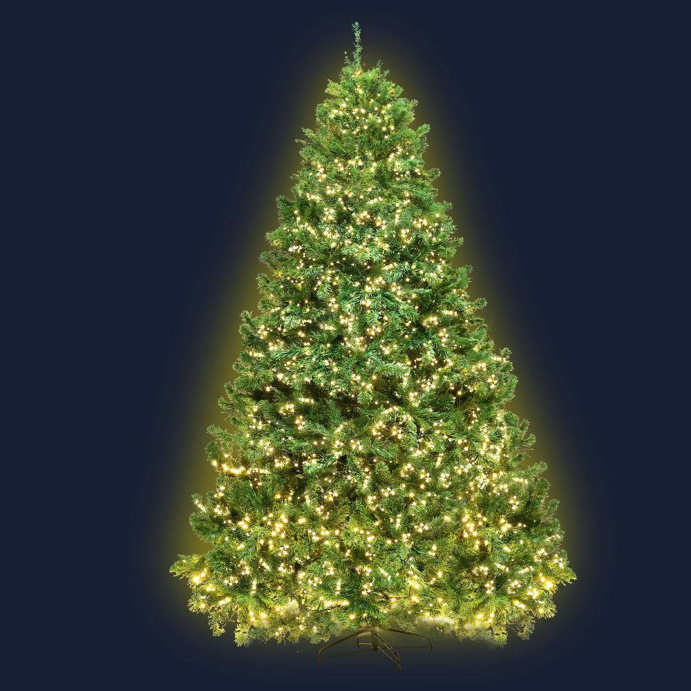 1.8M 6FT Christmas Tree Warm White - House Things Occasions > Christmas