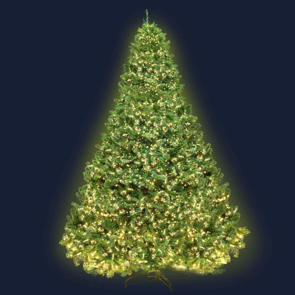 2.4M 8FT Christmas Tree Xmas 3190 LED Lights Warm White 1436 Tips - House Things Occasions > Christmas