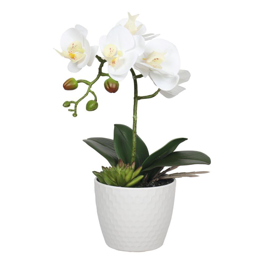 Potted Single Stem White Phalaenopsis Orchid with Decorative Pot 35cm - House Things Home & Garden > Artificial Plants