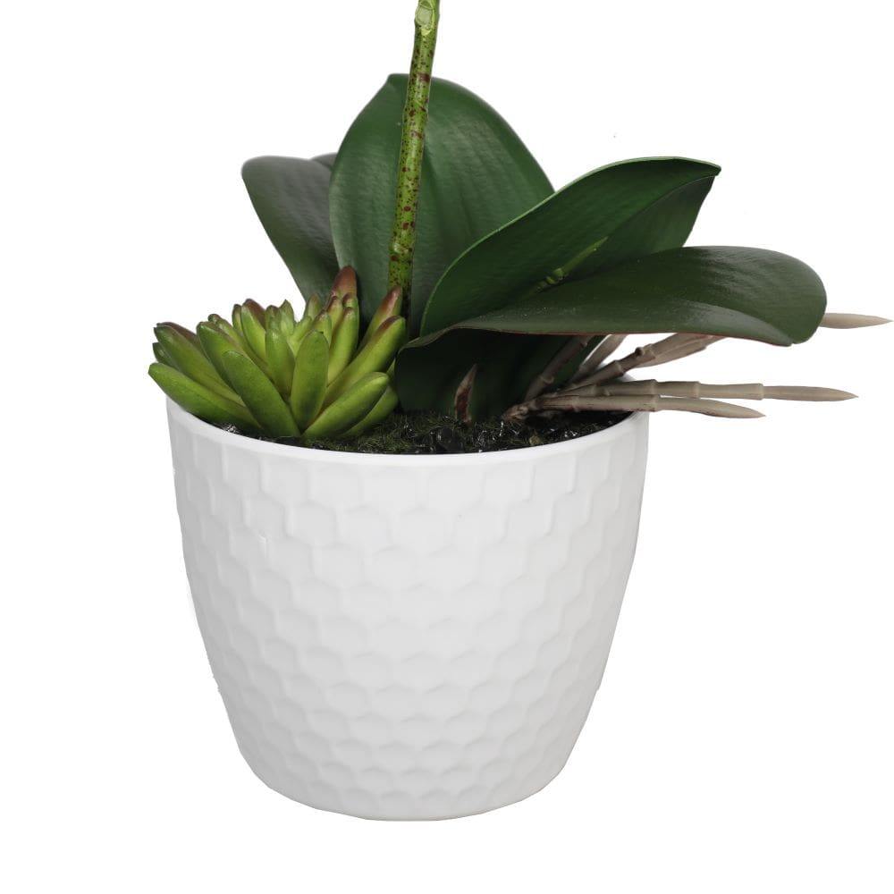 Potted Single Stem White Phalaenopsis Orchid with Decorative Pot 35cm - House Things Home & Garden > Artificial Plants
