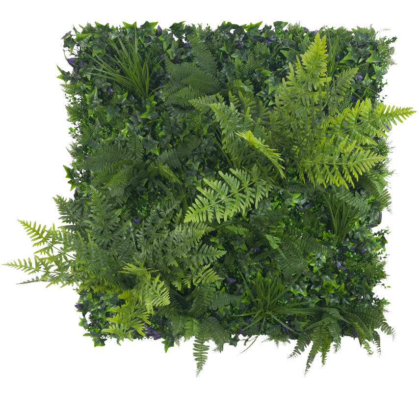 Jungle Fern Vertical Garden Wall 1m x 1m - Housethings 